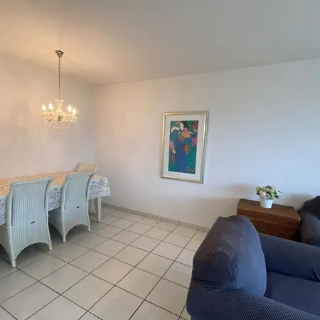 C061-quiet With Terrace & Pool - Apartment Cannes