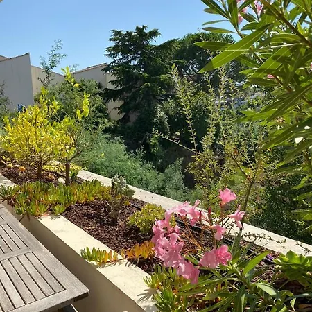 C061-quiet With Terrace & Pool - * Cannes